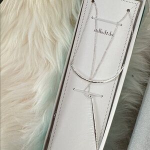 Stella And Dot Brand New Cari Layered Necklace Silver